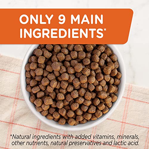 Rachael Ray Nutrish Limited Ingredient Dog Food, Lamb Meal & Brown Rice Recipe, 28 lb. Bag