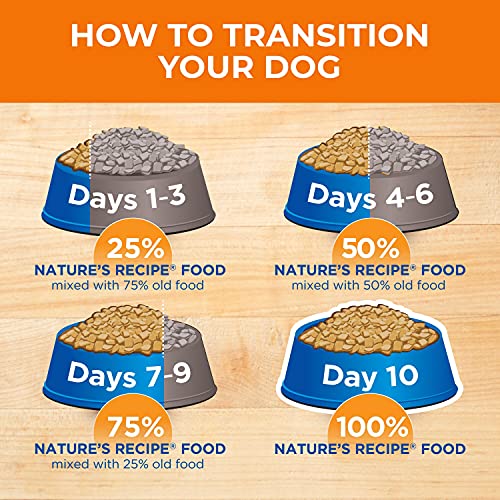 Mature Lamb & Brown Rice Recipe Dry Dog Food, 24 lb. Bag
