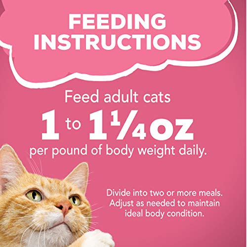 Wet Cat Food Variety Pack, Surfin' & Turfin' Prime Filets Favorites - (Pack of 40)