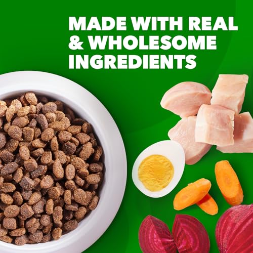 Proactive Health Minichunks Adult Dry Dog Food with Real Chicken, 30 lb. Bag