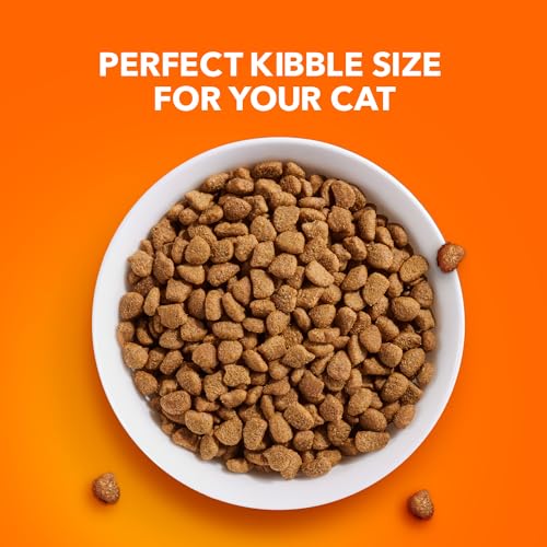 Proactive Health Indoor Weight & Hairball Care Adult Dry Cat Food 7 lb. Bag