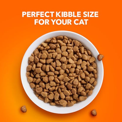 Proactive Health Indoor Weight & Hairball Care Adult Dry Cat Food 7 lb. Bag