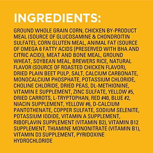 Nutrition Big Dog Dry Dog Food, Roasted Chicken, Rice and Vegetable Flavor, 16 lb. Bag
