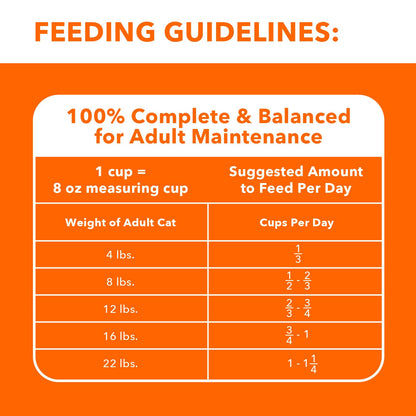 Adult Healthy Dry Cat Food with Chicken Cat Kibble, 22 lb. Bag