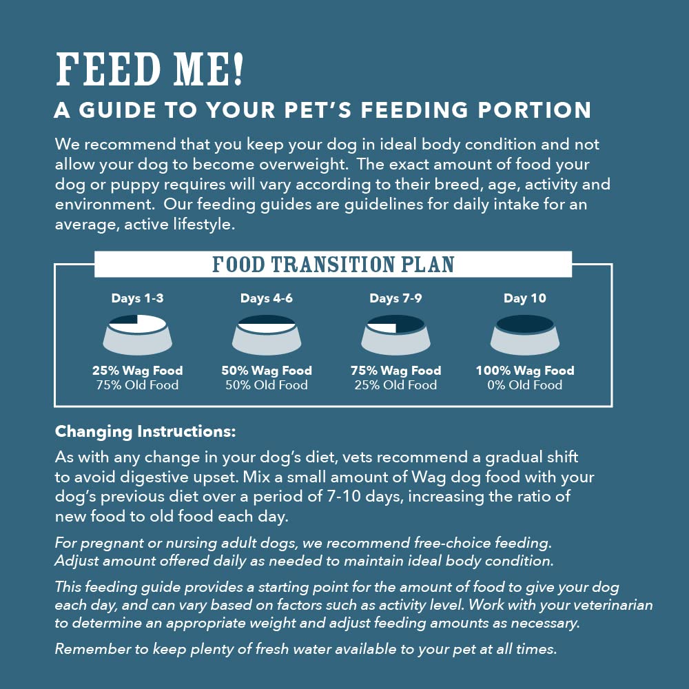 Dry Dog Food Grain-Free Turkey & Lentil Recipe, High Protein (24 lb bag)