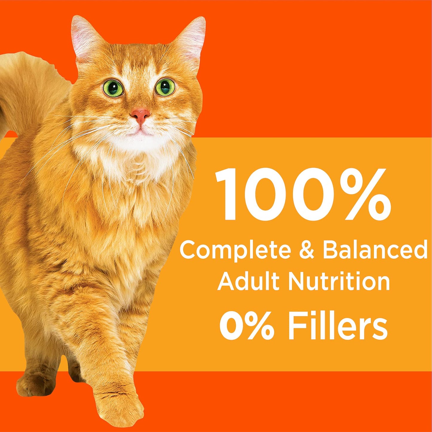 Proactive Health Healthy Adult with chicken 7lbs