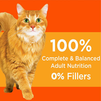 Proactive Health Healthy Adult with chicken 7lbs