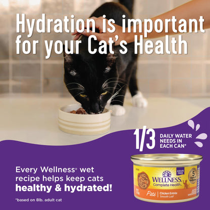 Complete Health Grain-Free Wet Canned Cat Food, Chicken & Turkey Lovers Minced