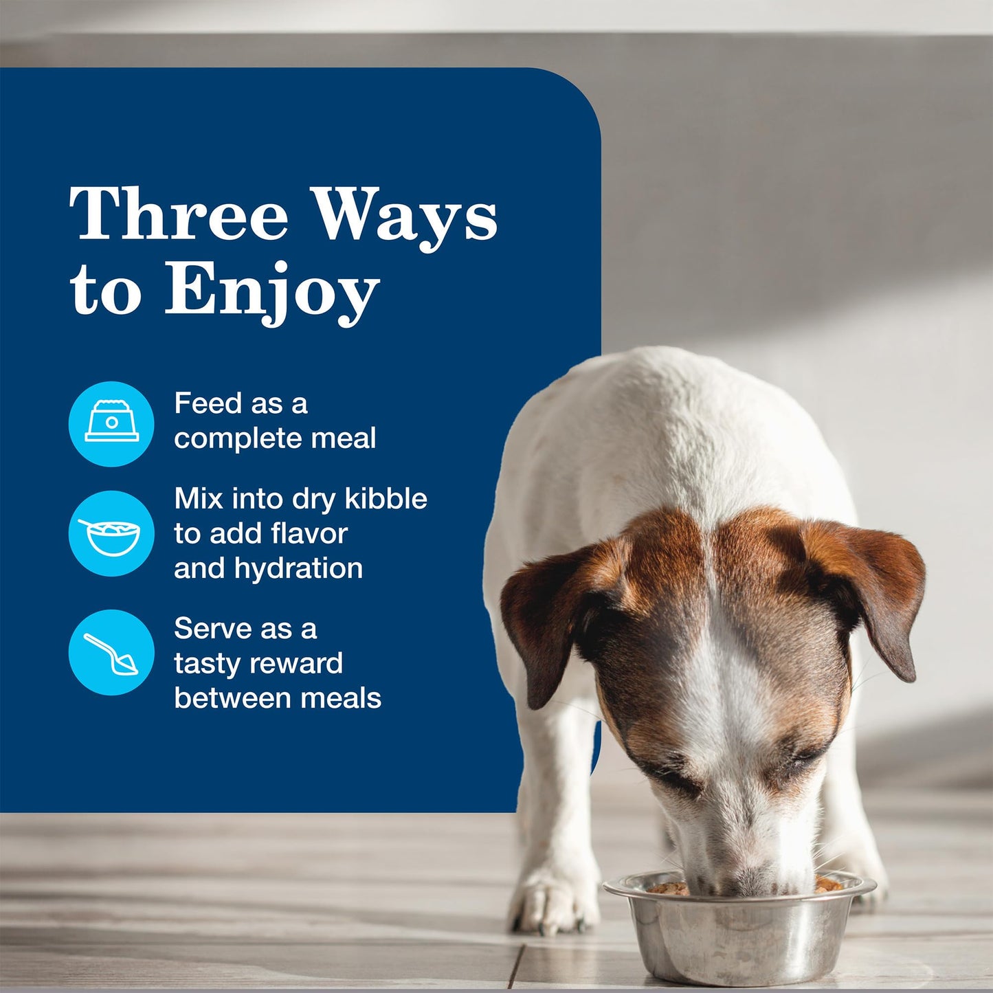 Blue Buffalo Homestyle Recipe Senior Wet Dog Food, Made with Natural Ingredients 12.5-oz. Cans (12 Count)