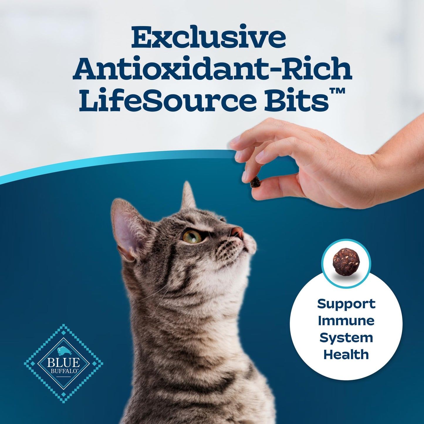 Natural Dry Food for Adult Indoor Cats, Salmon & Brown Rice Recipe, 15-lb. Bag
