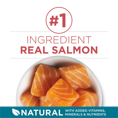 Natural Dry Cat Food, Tender Selects Blend With Real Salmon - 16 lb. Bag