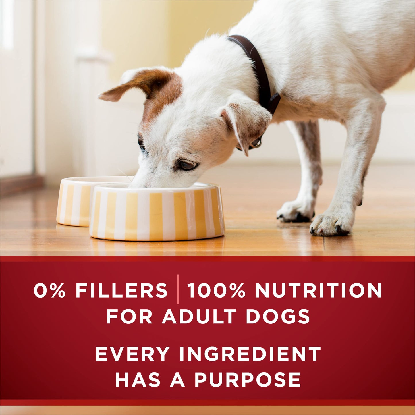 Wet Dog Food True Instinct Tender Cuts in Dog Food Gravy With Real Turkey and Venison