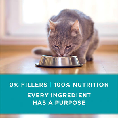 Natural Grain Free Wet Cat Food Pate, Chicken Recipe - (Pack of 24) 3 oz. Pull-Top Cans