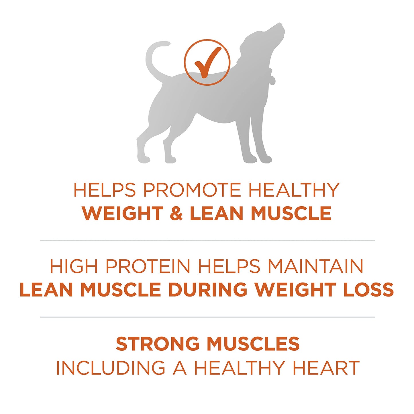 Plus Healthy Weight High-Protein Dog Food Dry Formula - 40 lb. Bag