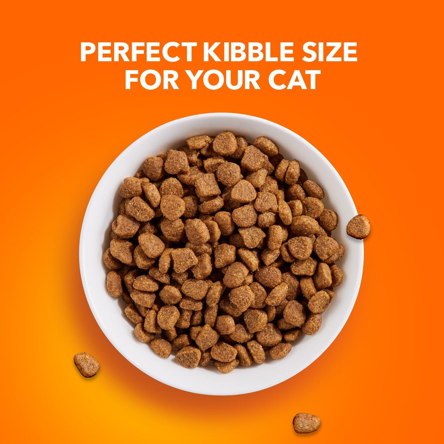 Adult Healthy Dry Cat Food with Chicken Cat Kibble, 22 lb. Bag