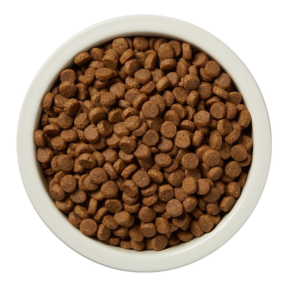 Dry Dog Food Grain-Free Turkey & Lentil Recipe, High Protein (24 lb bag)