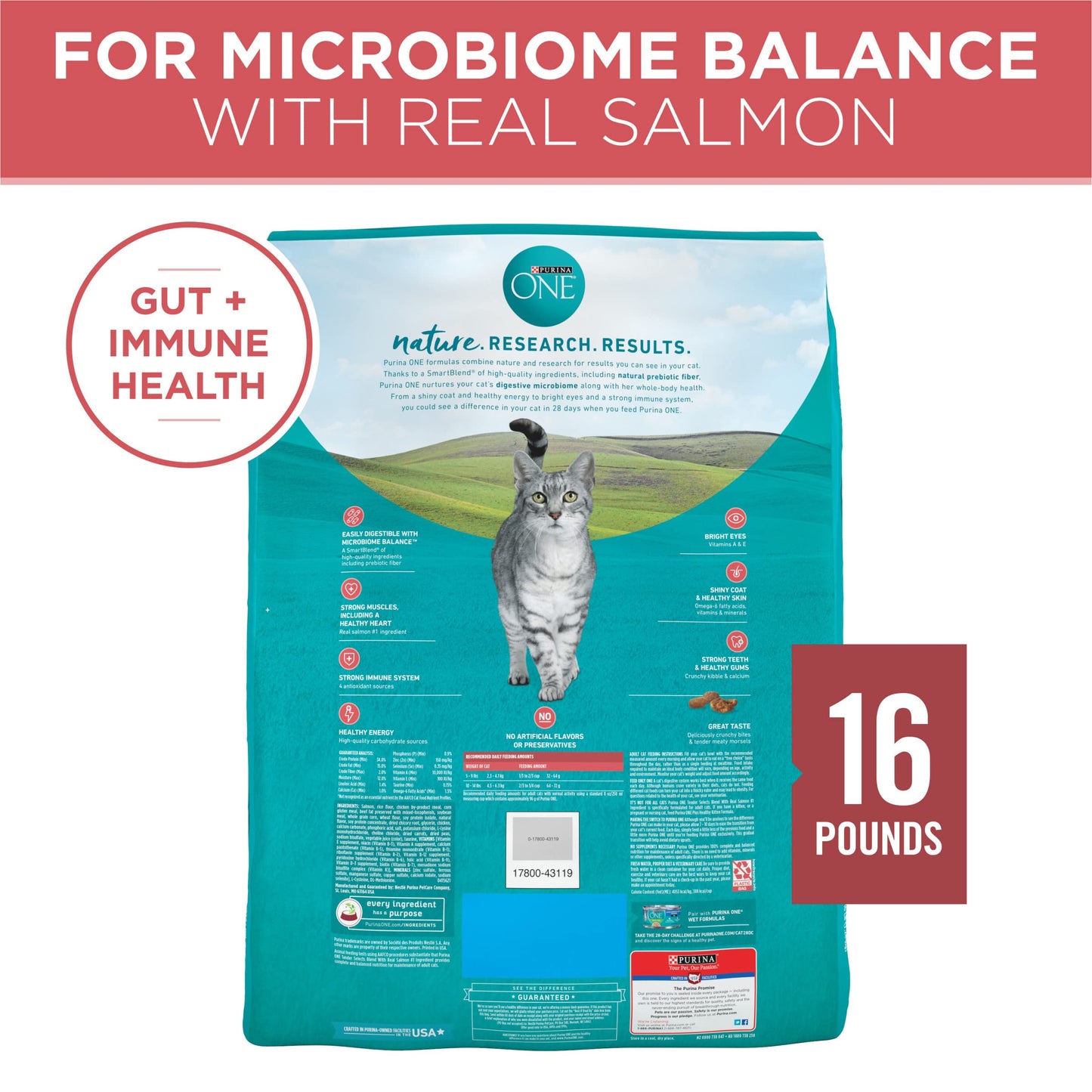 Natural Dry Cat Food, Tender Selects Blend With Real Salmon - 16 lb. Bag
