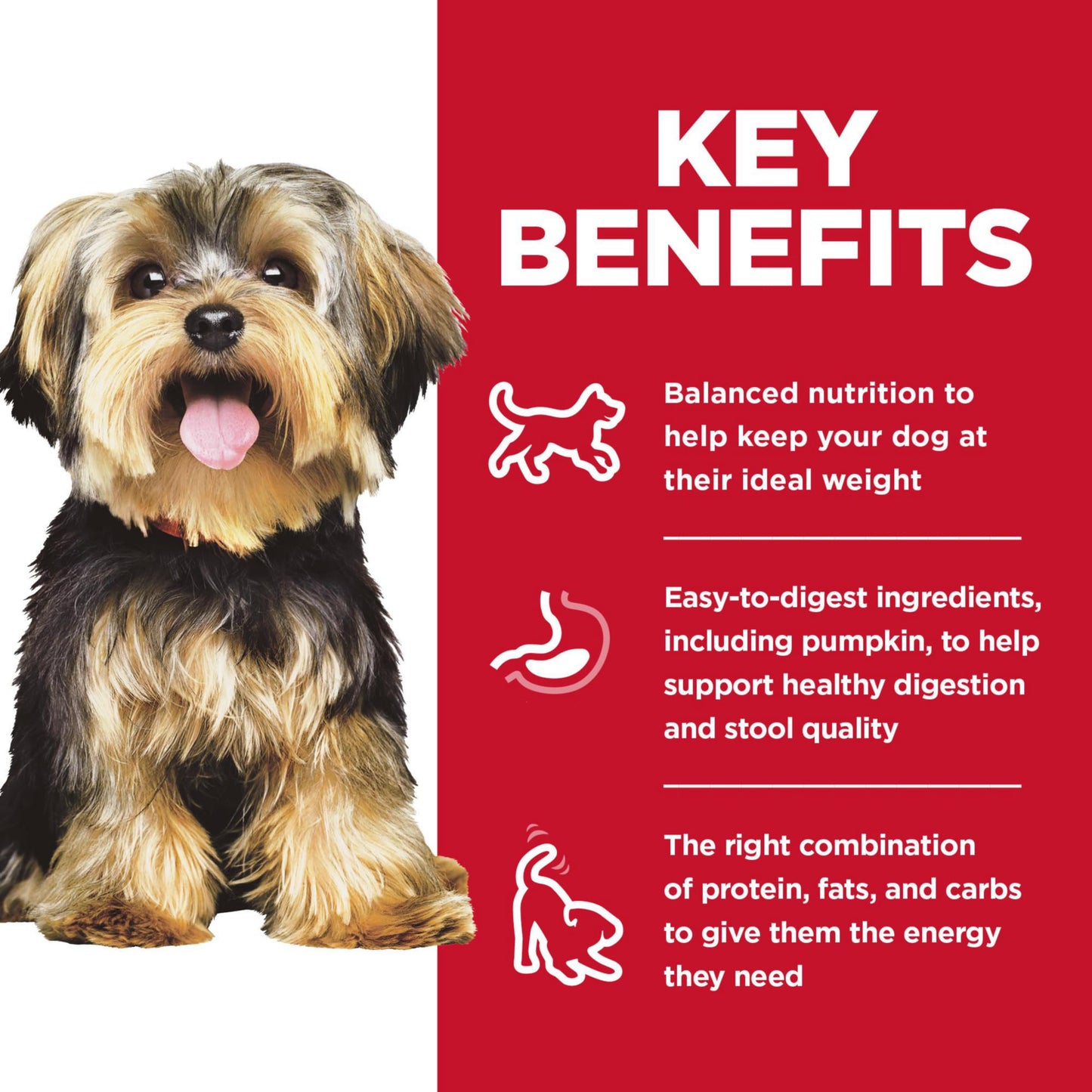Small & Mini, Adult 1-6, Small & Mini Breeds Premium Nutrition, Dry Dog Food