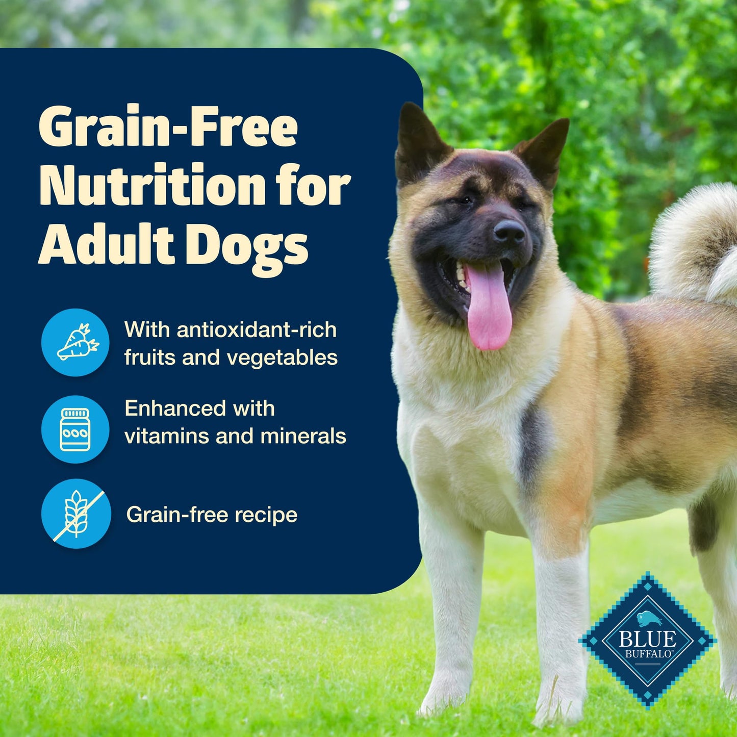 Freedom Grain-Free Wet Dog Food, Free of Glutens & Artificial Preservatives, Made with Natural Ingredients, Chicken Recipe, 12.5-oz. Cans (12 Count)