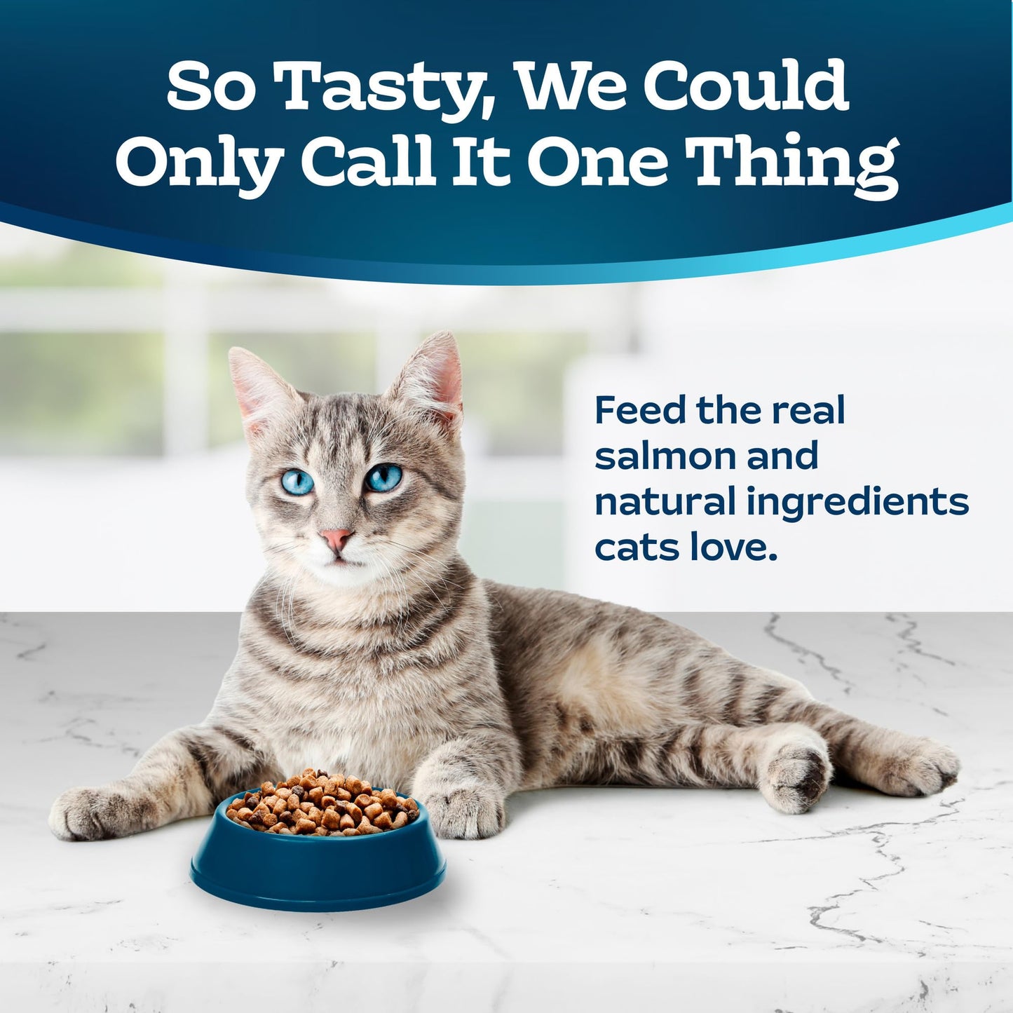 Natural Dry Food for Adult Indoor Cats, Salmon & Brown Rice Recipe, 15-lb. Bag