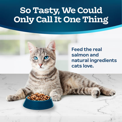 Natural Dry Food for Adult Indoor Cats, Salmon & Brown Rice Recipe, 15-lb. Bag