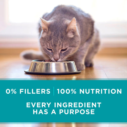 Natural Grain Free Wet Cat Food Pate, Chicken Recipe - (Pack of 24) 3 oz. Pull-Top Cans