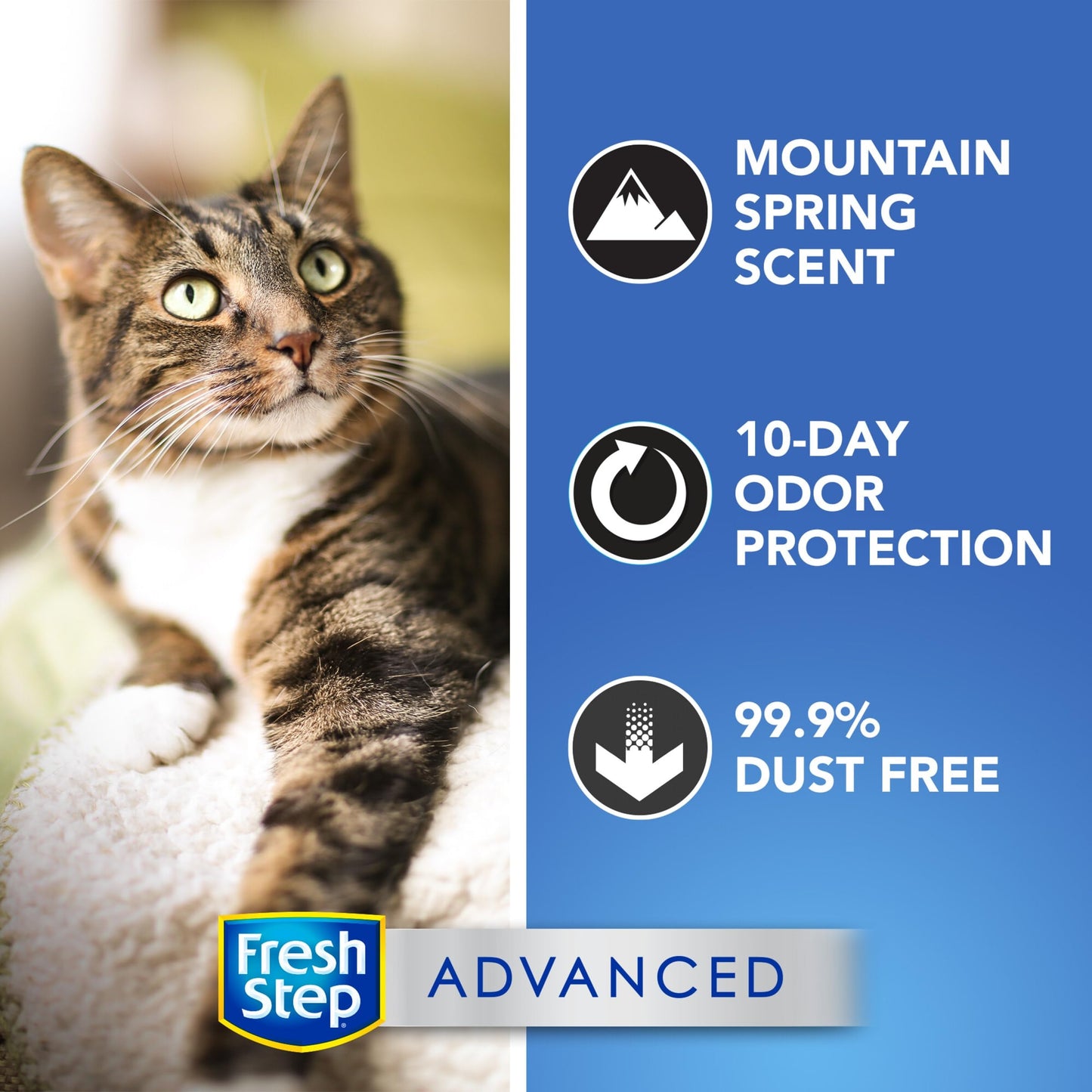 Clumping Cat Litter, Extreme, Advanced Long Lasting Odor Control Kitty Litter