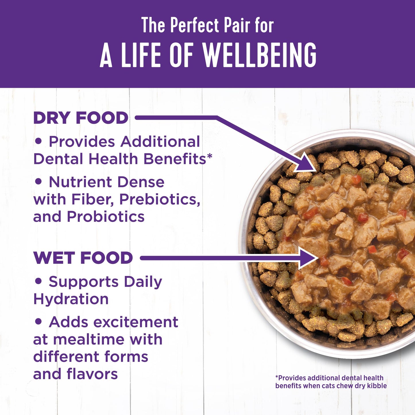 Complete Health Grain-Free Wet Canned Cat Food, Chicken & Turkey Lovers Minced