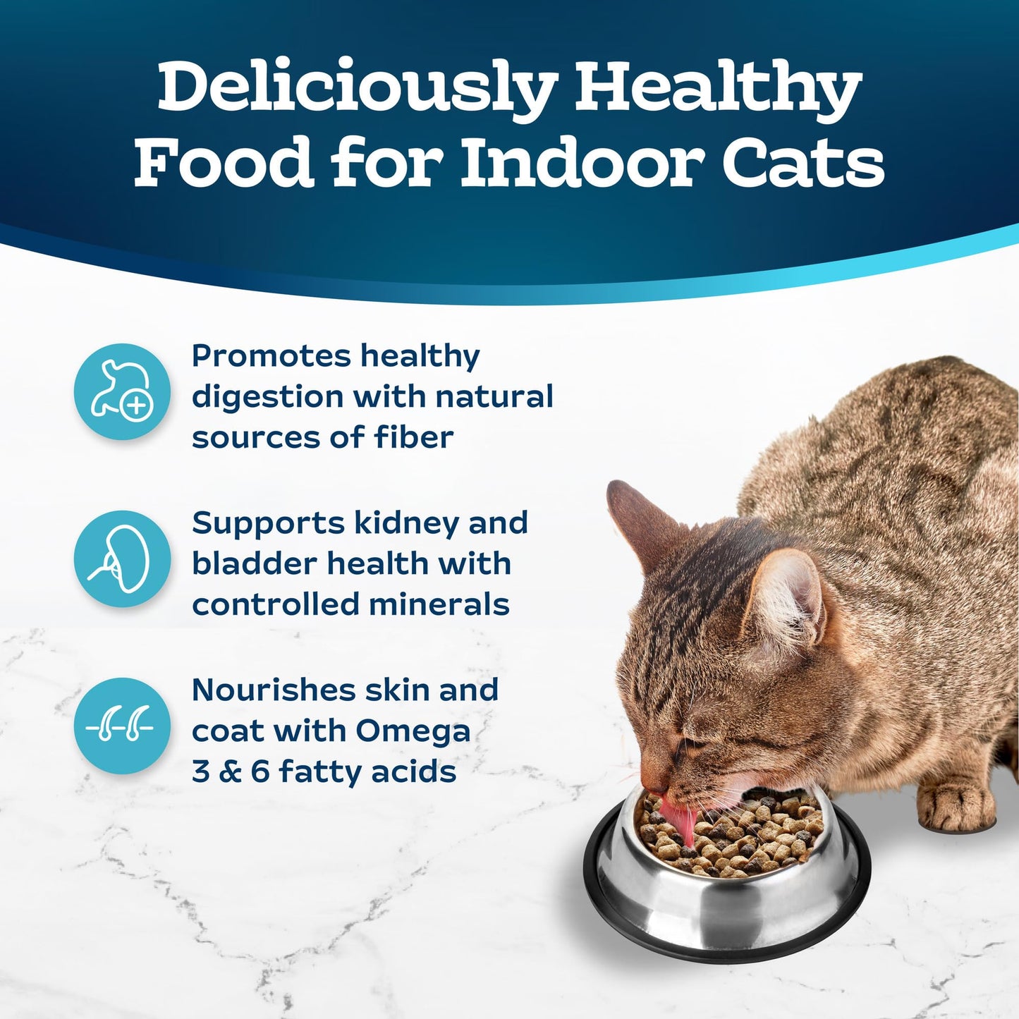 Natural Dry Food for Adult Indoor Cats, Salmon & Brown Rice Recipe, 15-lb. Bag