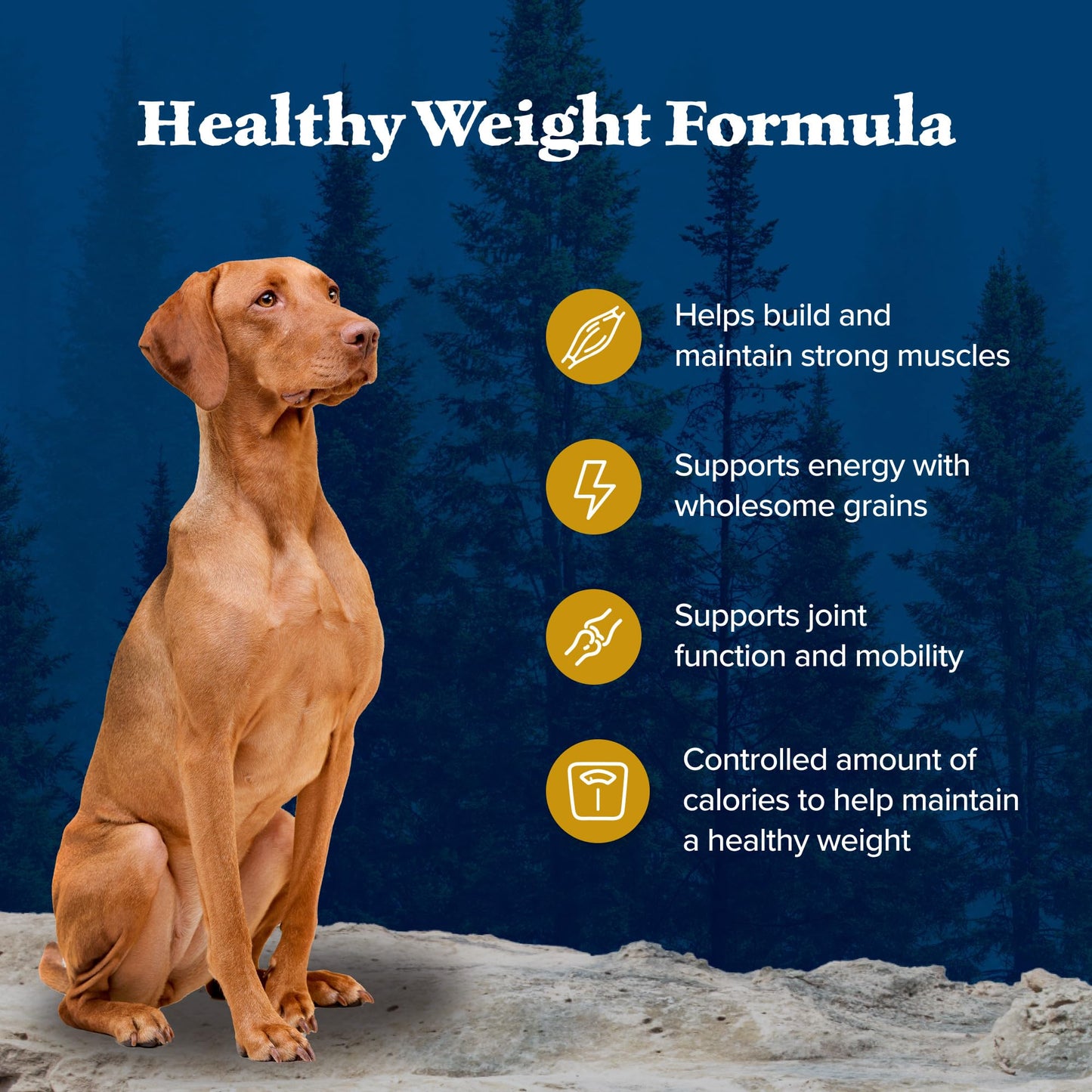 Weight Control Dry Dog Food With Real Chicken Plus Wholesome Grains  Made in the USA with Natural Ingredients Chicken