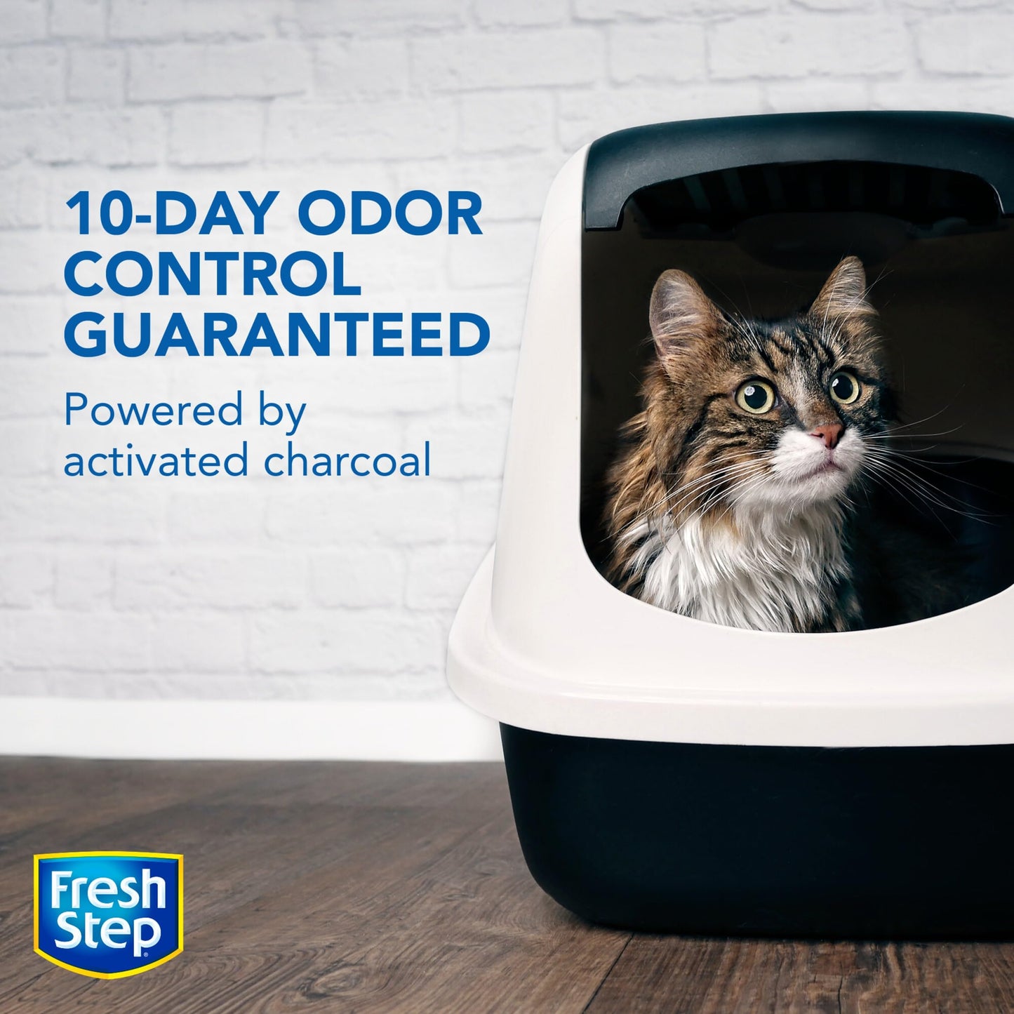 Advanced Unscented Cat Litter, 2 Pack (37.58 lbs/17.04 kg, Extra Large