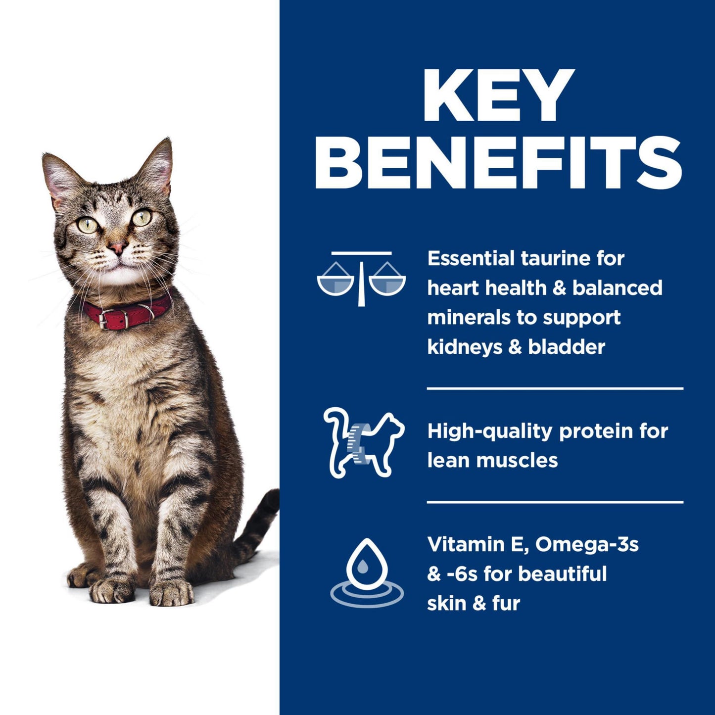 Hill's Science Diet Adult 1-6, Adult 1-6 Premium Nutrition, Dry Cat Food, Chicken Recipe, 7 lb Bag