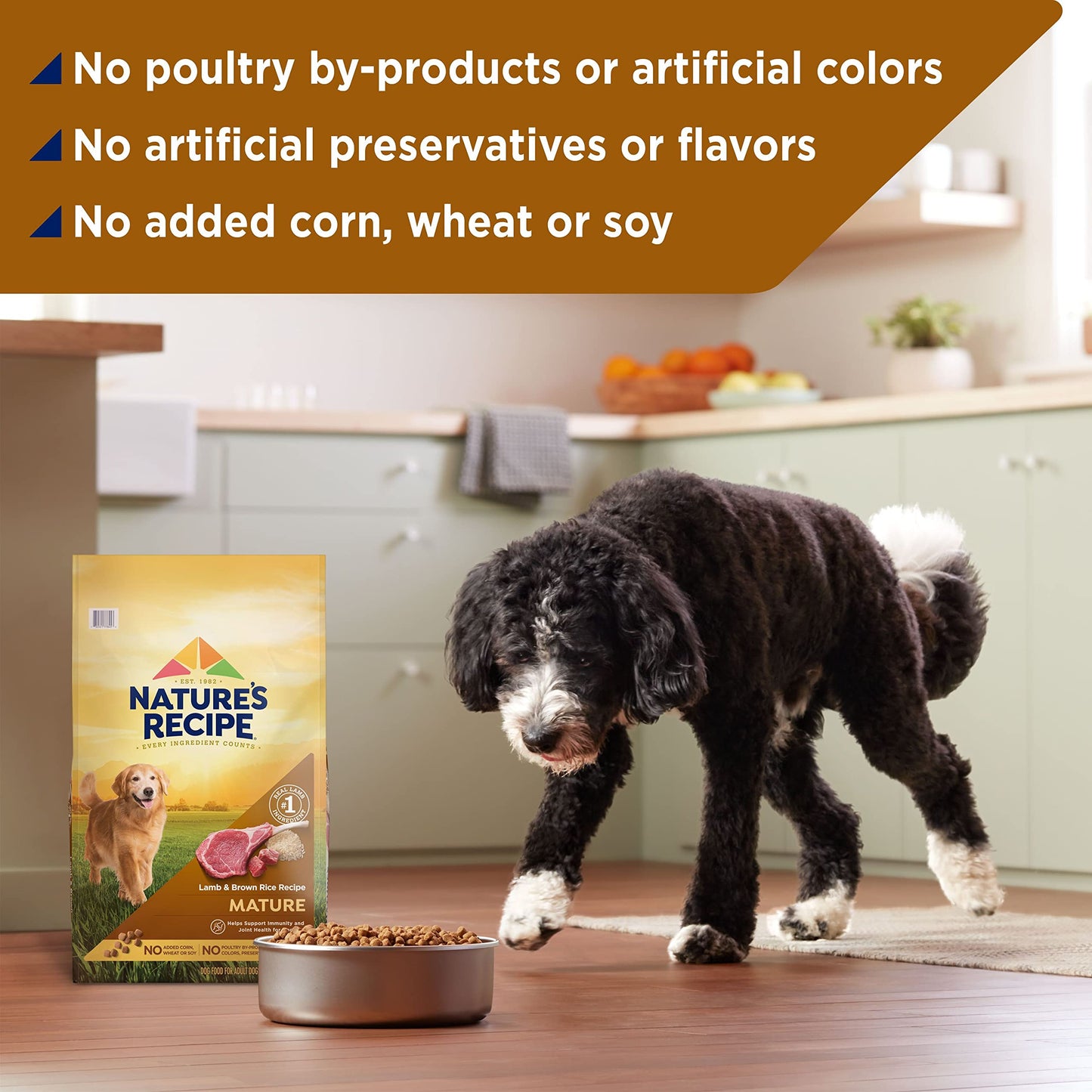 Mature Lamb & Brown Rice Recipe Dry Dog Food, 24 lb. Bag