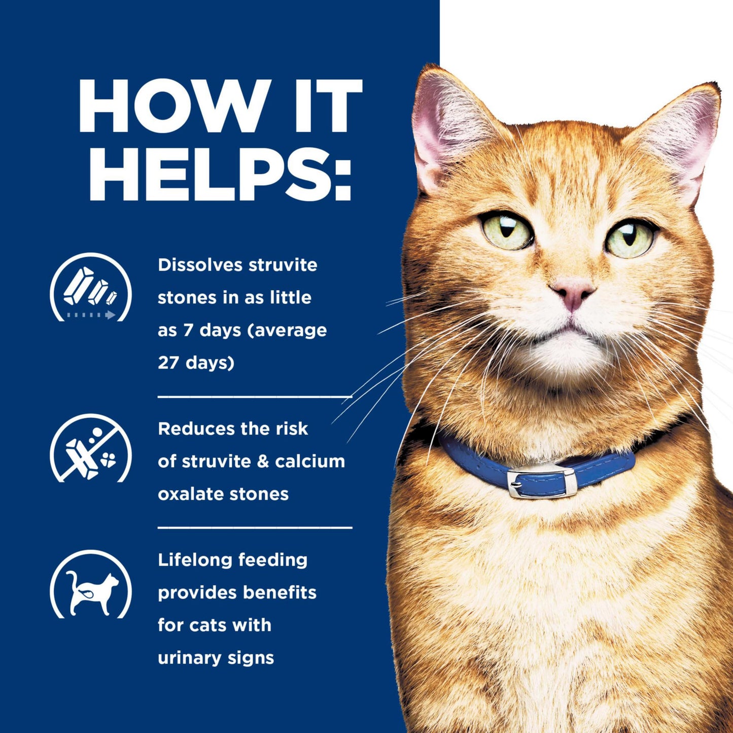 Multicare Urinary Care with Chicken Dry Cat Food, Veterinary Diet, 4 lb. Bag