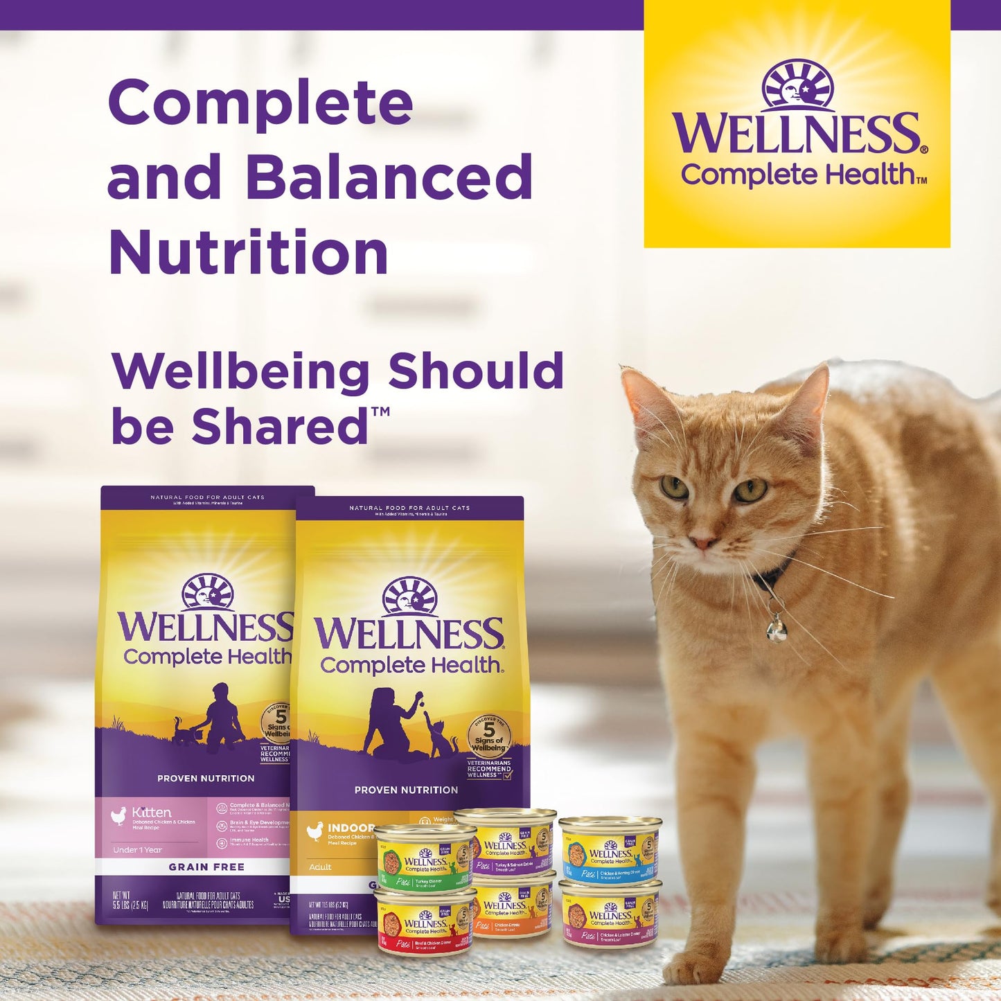 Complete Health Grain-Free Wet Canned Cat Food, Chicken & Turkey Lovers Minced