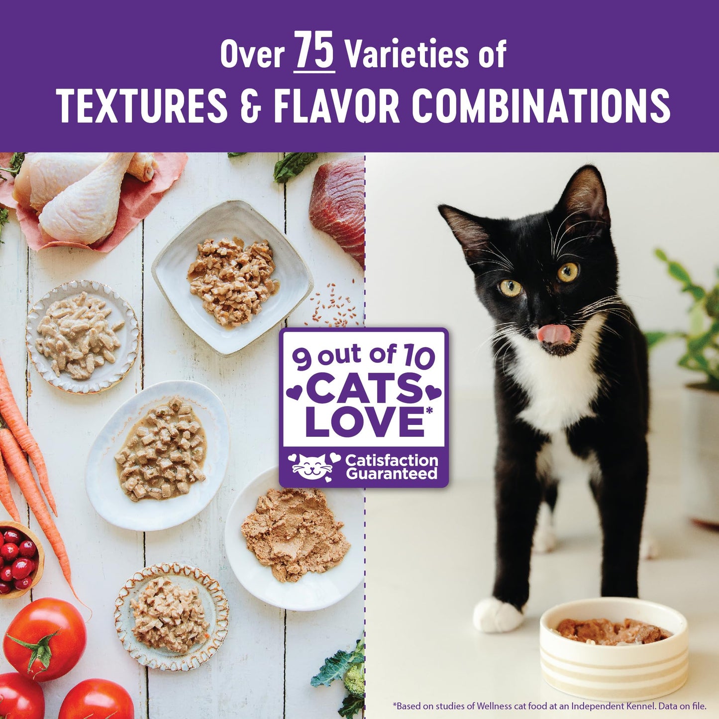 Complete Health Grain-Free Wet Canned Cat Food, Chicken & Turkey Lovers Minced