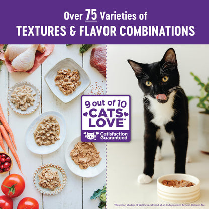 Complete Health Grain-Free Wet Canned Cat Food, Chicken & Turkey Lovers Minced