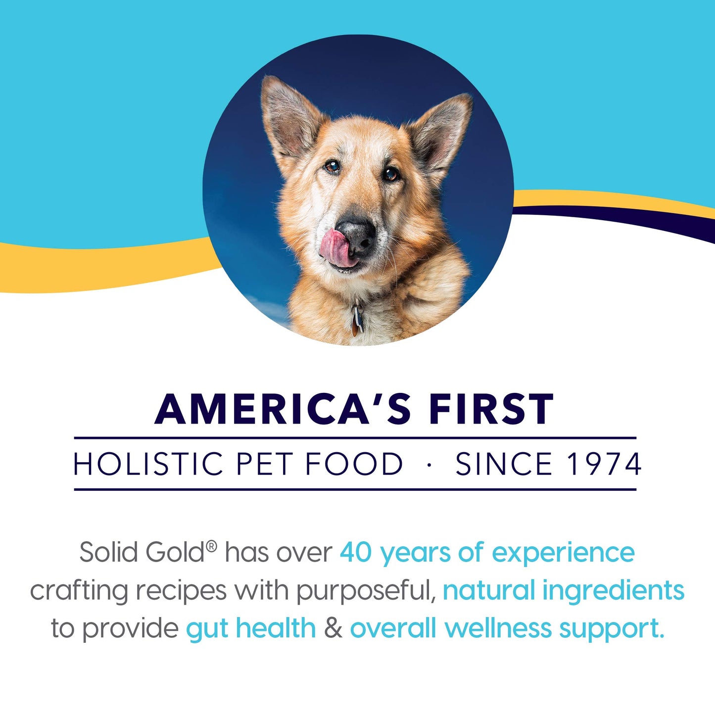 Wet Dog Food for Adult & Senior Dogs - Made with Real Chicken & Salmon - Leaping Waters Grain Free Canned Dog Food for Healthy Digestion