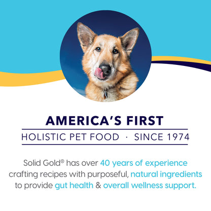 Wet Dog Food for Adult & Senior Dogs - Made with Real Chicken & Salmon - Leaping Waters Grain Free Canned Dog Food for Healthy Digestion