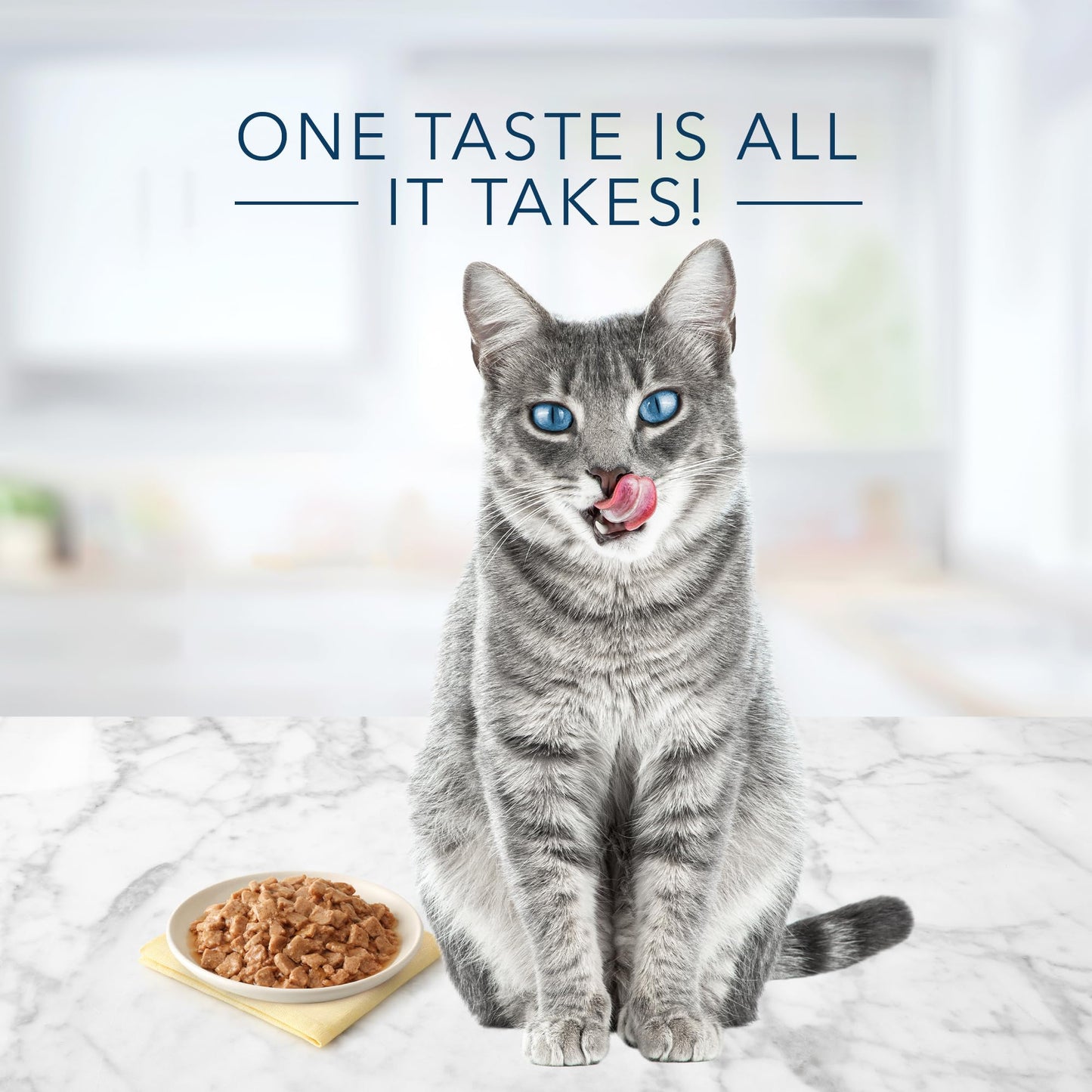 Tastefuls Natural Flaked Wet Cat Food, Chicken Entrée in Gravy 5.5-oz cans (Pack of 24)