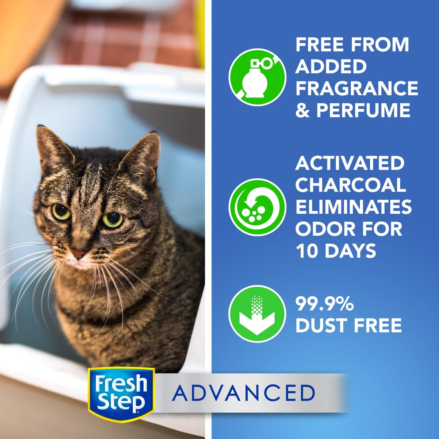 Advanced Unscented Cat Litter, 2 Pack (37.58 lbs/17.04 kg, Extra Large
