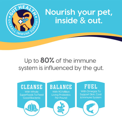Wet Dog Food for Adult & Senior Dogs - Made with Real Chicken & Salmon - Leaping Waters Grain Free Canned Dog Food for Healthy Digestion