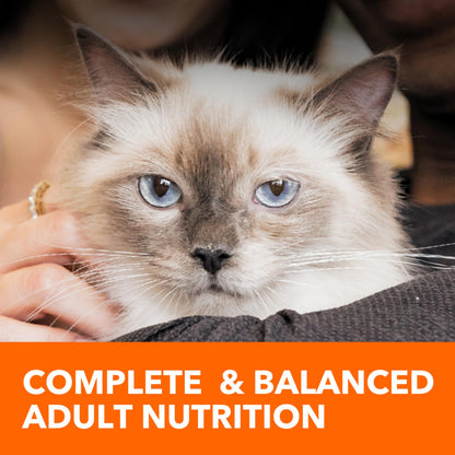 Proactive Health Adult Hairball Care Dry Cat Food with Chicken 16 lb. Bag