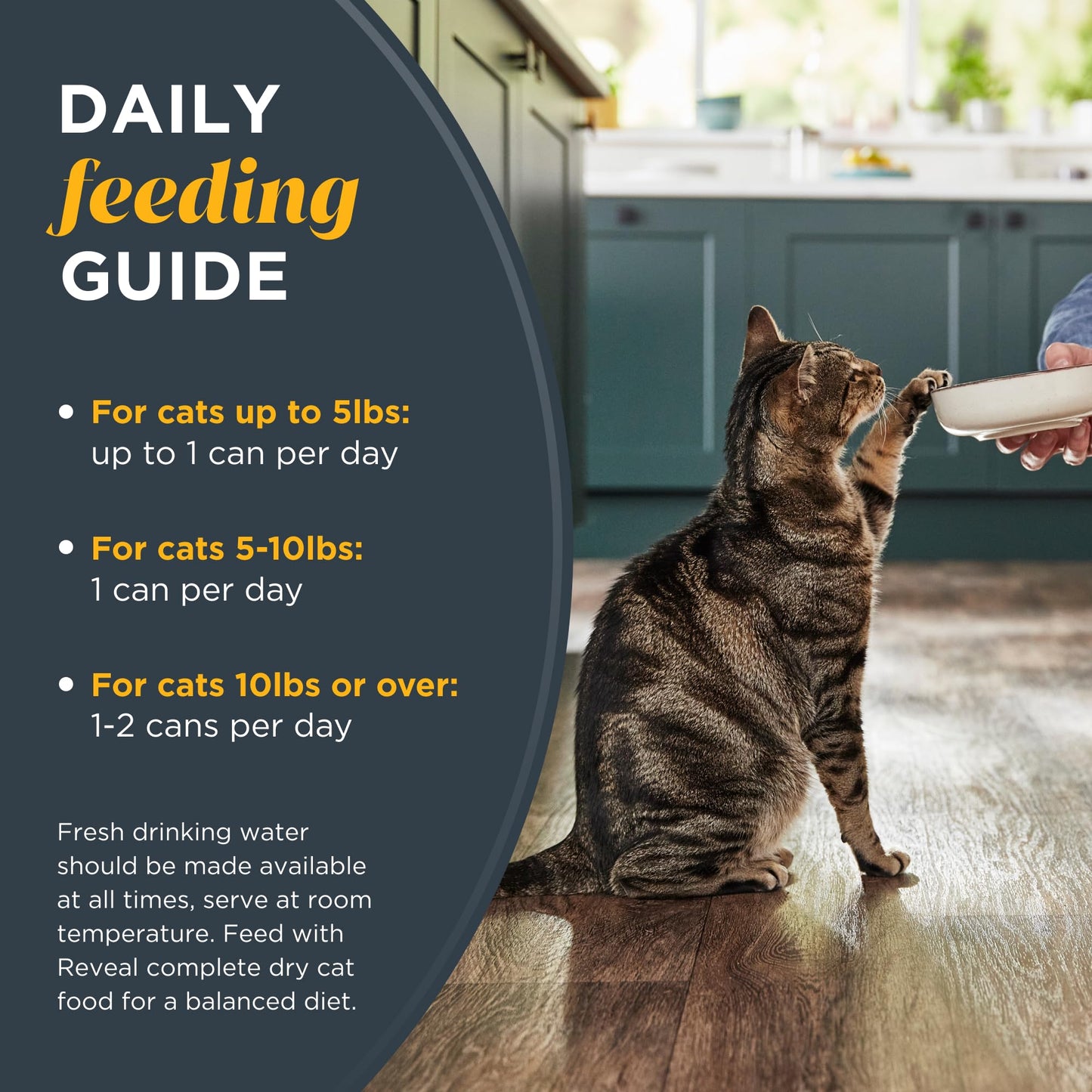 Reveal Natural Wet Cat Food, 12 Count Limited Ingredient Canned Food for Cats in Broth, 2.47 Cans