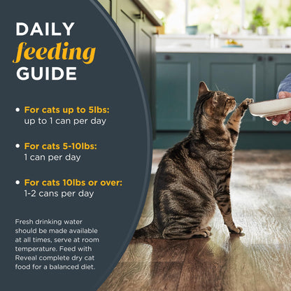 Reveal Natural Wet Cat Food, 12 Count Limited Ingredient Canned Food for Cats in Broth, 2.47 Cans