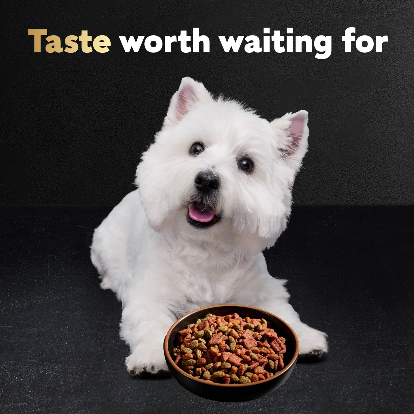 Small Breed Dry Dog Food Filet Mignon Flavor and Spring Vegetables Garnish, 5 lb. Bag