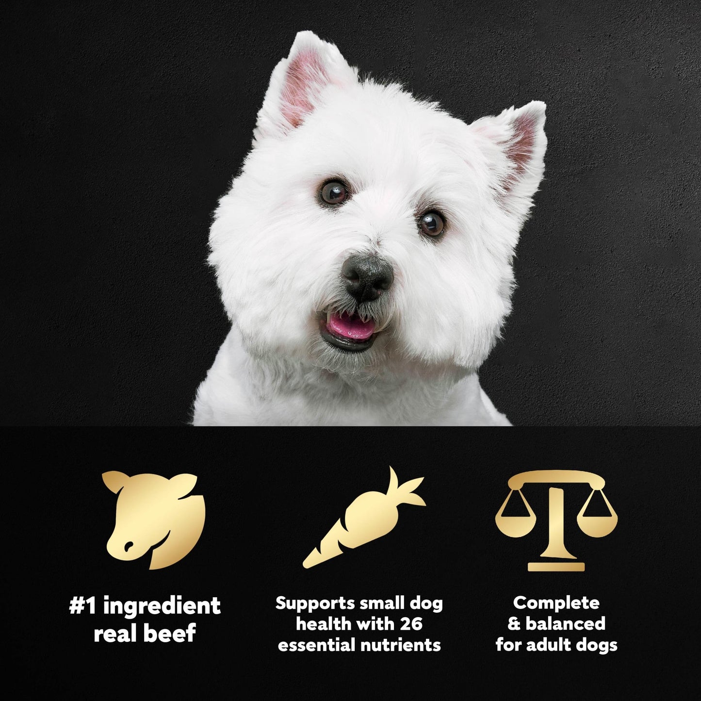 Small Breed Dry Dog Food Filet Mignon Flavor and Spring Vegetables Garnish, 5 lb. Bag