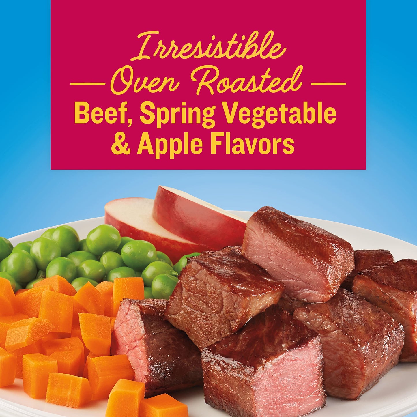 Kibbles 'n Bits Bistro Mini Bits Small Breed Oven Roasted Beef Flavor Dry Dog Food, 16 Pound Bag